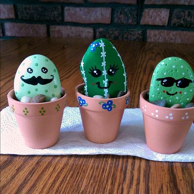 Pet Rock Cactuses